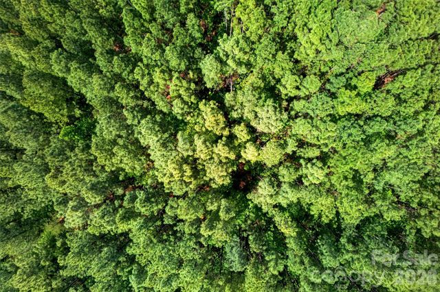 99999 Wright Road, Marion, NC 28752