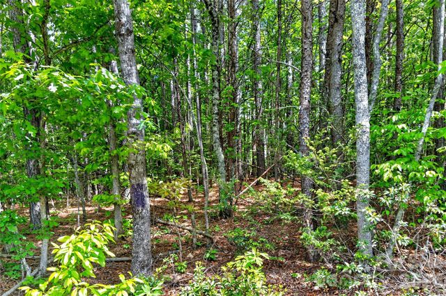 99999 Wright Road, Marion, NC 28752