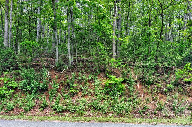 99999 Wright Road, Marion, NC 28752