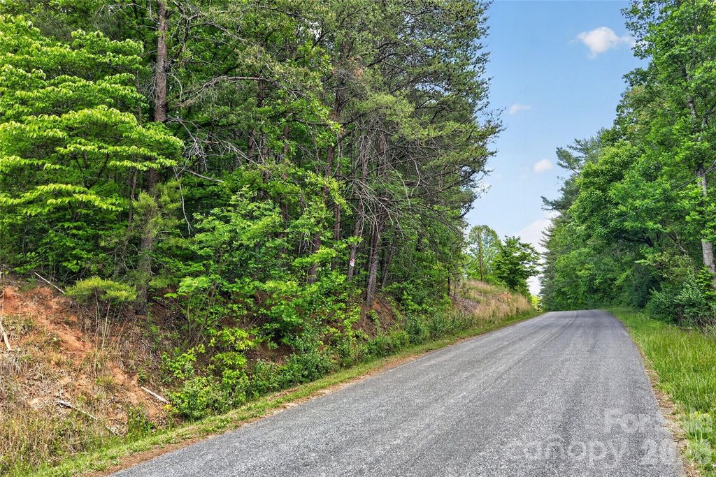 99999 Wright Road, Marion, NC 28752