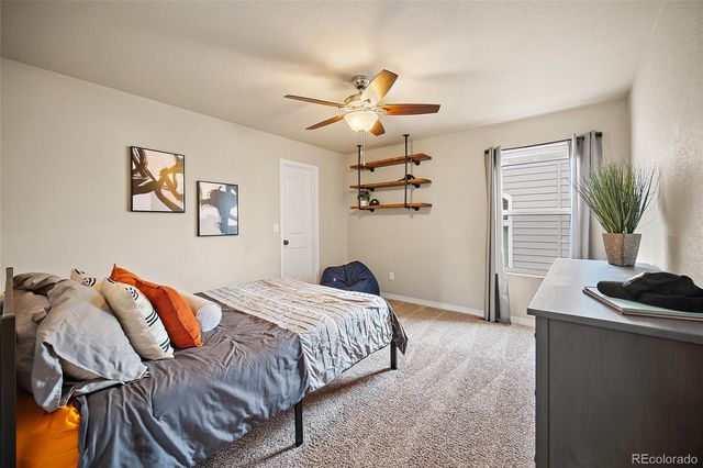 8348 Needle Drop Court, Colorado Springs, CO 80908