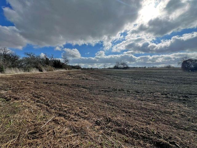 TBD County Road 196, Georgetown, TX 78626