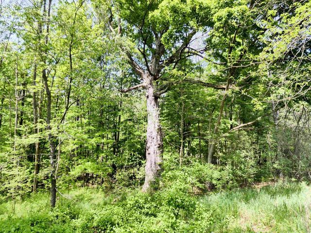 455 BIALOZYNSKI ROAD, Pulaski, WI 54162