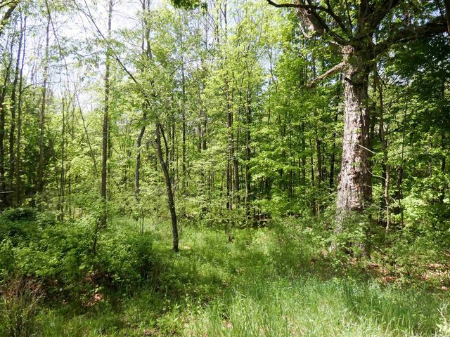 455 BIALOZYNSKI ROAD, Pulaski, WI 54162