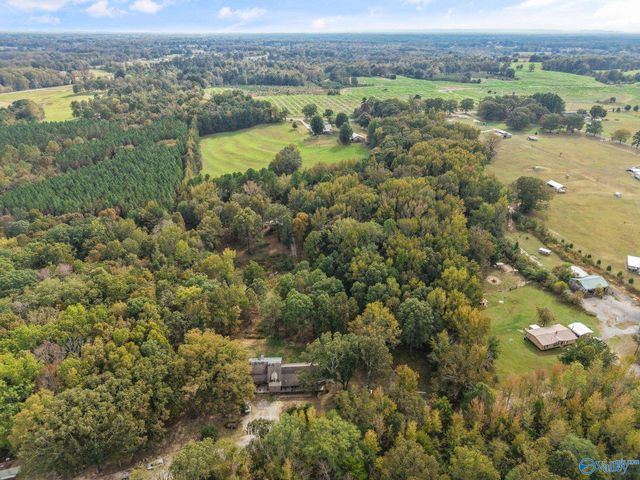 240 County Road 455, Hillsboro, AL 35643