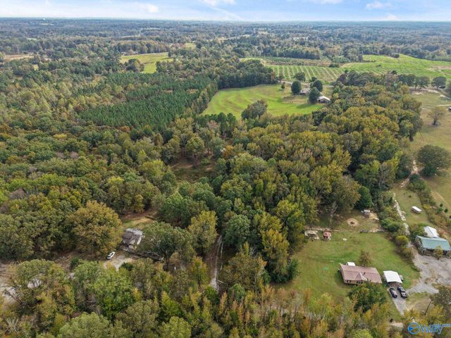 240 County Road 455, Hillsboro, AL 35643
