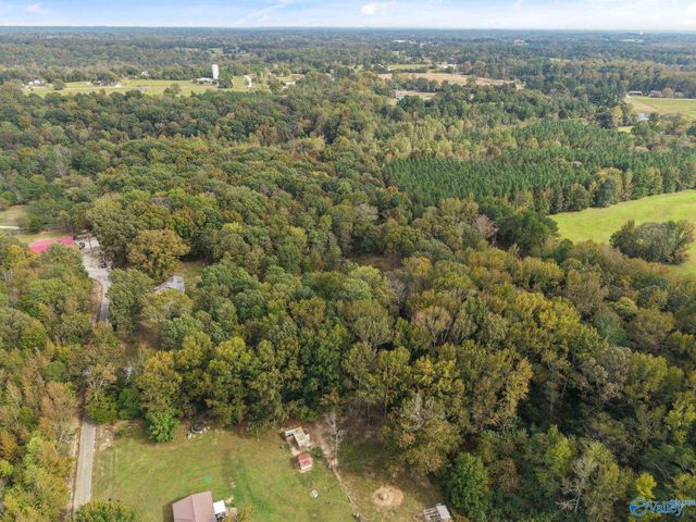 240 County Road 455, Hillsboro, AL 35643