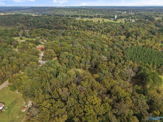 240 County Road 455, Hillsboro, AL 35643