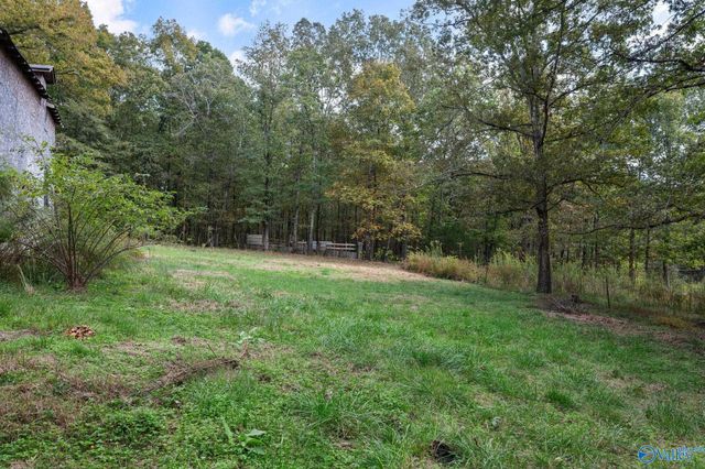 240 County Road 455, Hillsboro, AL 35643