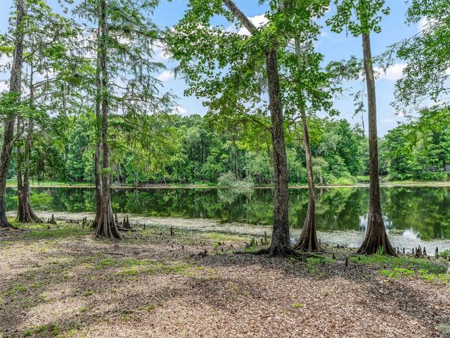 10518 SW 64TH AVENUE, Bushnell, FL 33513
