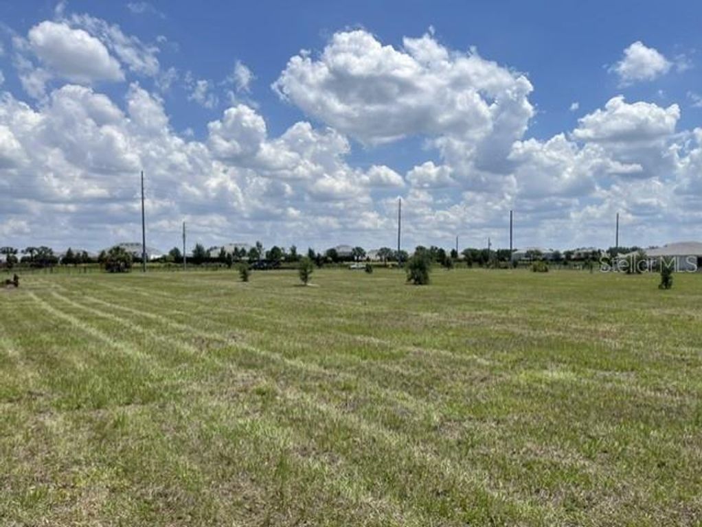 15202 PATTERSON ROAD, Odessa, FL 33556