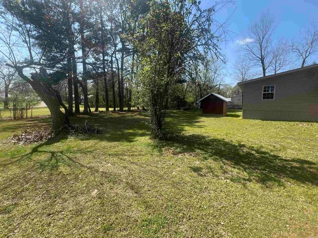 402 Mercer st Street, Horatio, AR 71842