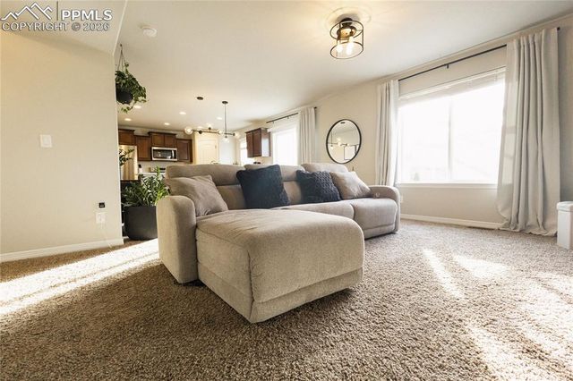 9901 Castor Drive, Colorado Springs, CO 80925