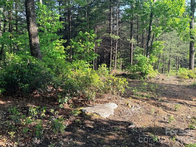 Lot 11 Brookside Parkway, Lake Lure, NC 28746