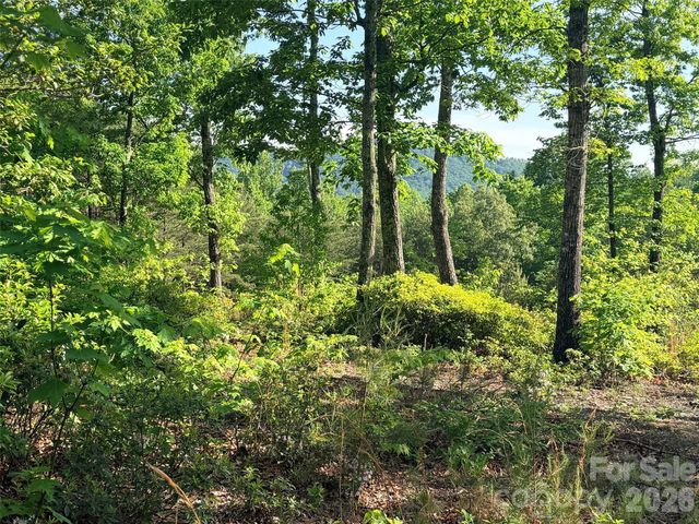 Lot 11 Brookside Parkway, Lake Lure, NC 28746