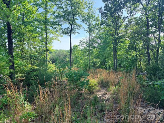 Lot 11 Brookside Parkway, Lake Lure, NC 28746