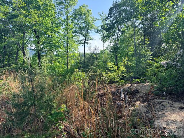 Lot 11 Brookside Parkway, Lake Lure, NC 28746