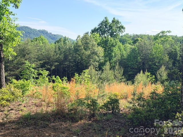 Lot 11 Brookside Parkway, Lake Lure, NC 28746