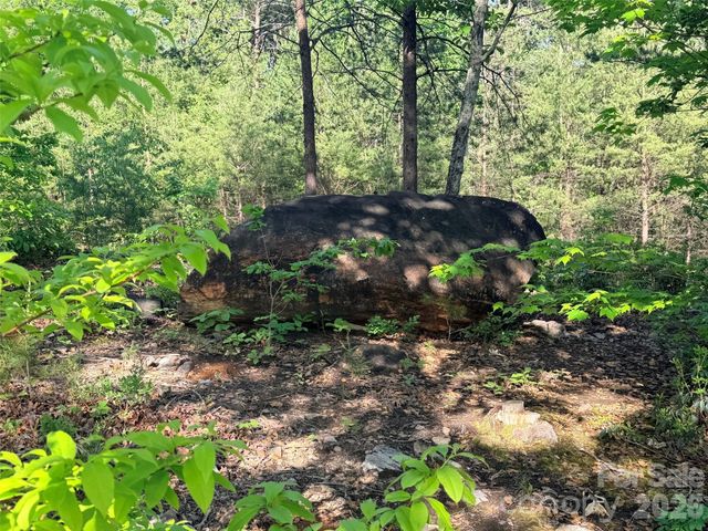 Lot 11 Brookside Parkway, Lake Lure, NC 28746
