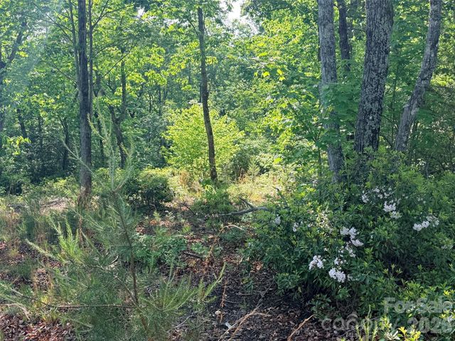 Lot 11 Brookside Parkway, Lake Lure, NC 28746