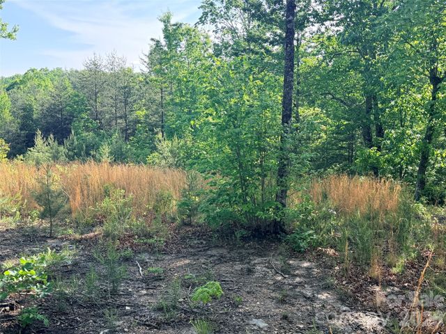 Lot 11 Brookside Parkway, Lake Lure, NC 28746