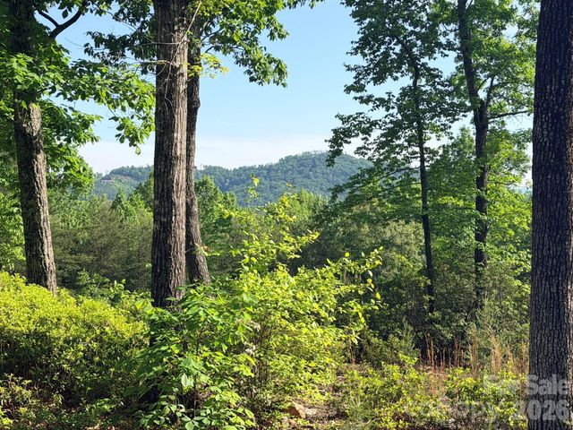 Lot 11 Brookside Parkway, Lake Lure, NC 28746