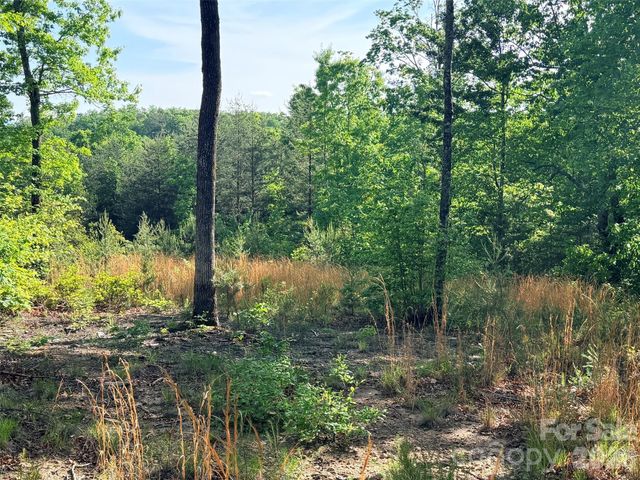 Lot 11 Brookside Parkway, Lake Lure, NC 28746