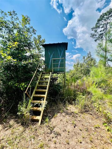 0 Nine Bridge Road, Corrigan, TX 75939