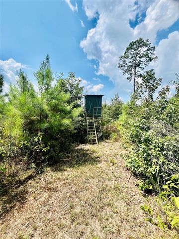 0 Nine Bridge Road, Corrigan, TX 75939