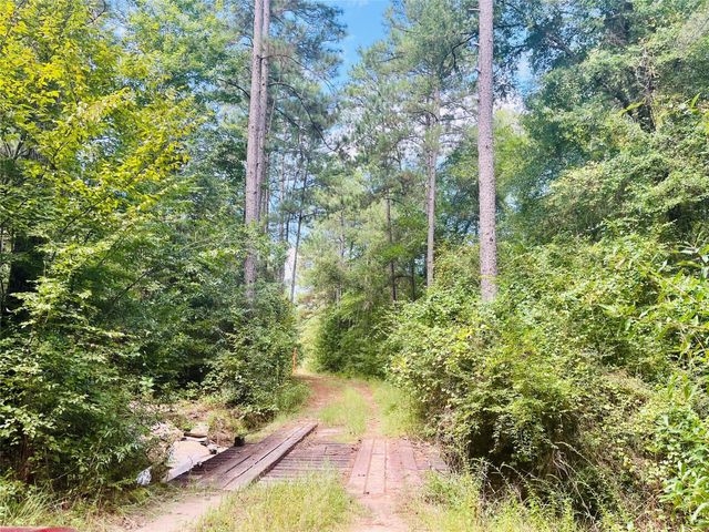 0 Nine Bridge Road, Corrigan, TX 75939