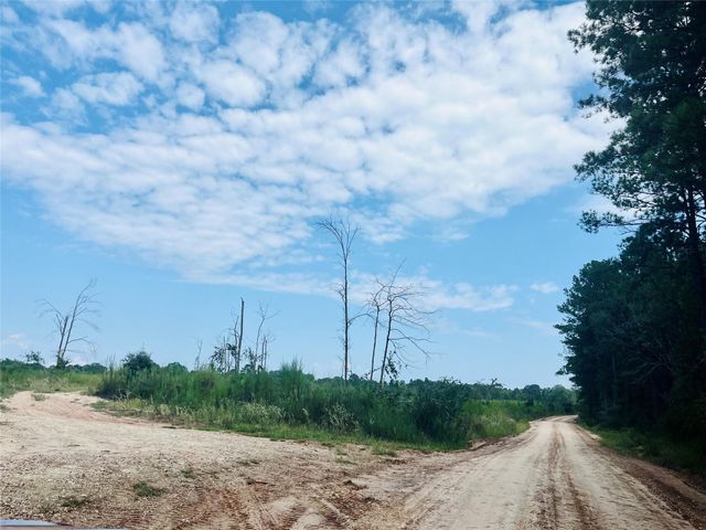 0 Nine Bridge Road, Corrigan, TX 75939