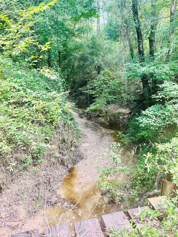 0 Nine Bridge Road, Corrigan, TX 75939