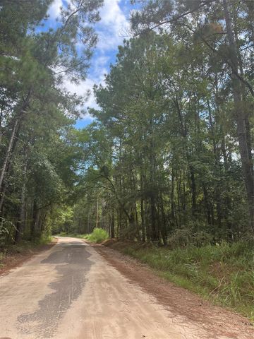 0 Nine Bridge Road, Corrigan, TX 75939