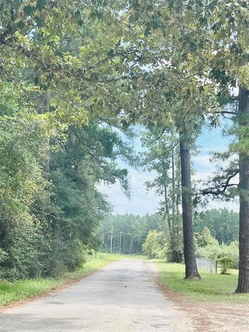 0 Nine Bridge Road, Corrigan, TX 75939