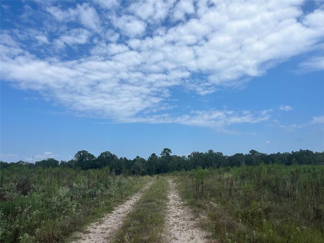 0 Nine Bridge Road, Corrigan, TX 75939