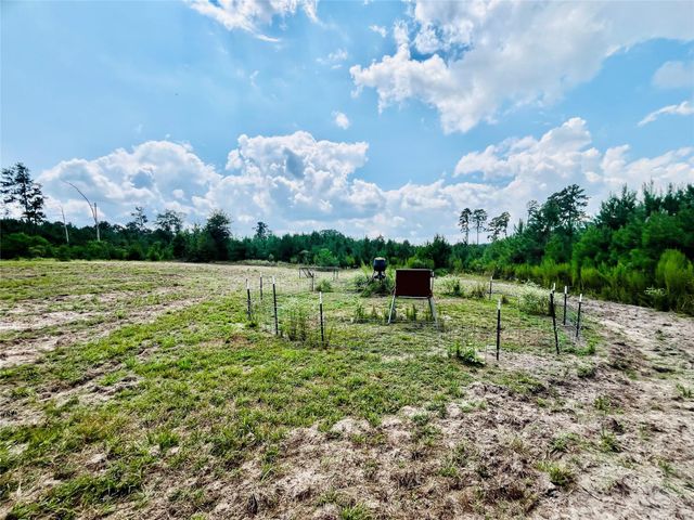 0 Nine Bridge Road, Corrigan, TX 75939