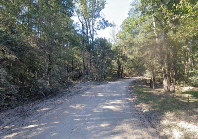 0 Nine Bridge Road, Corrigan, TX 75939