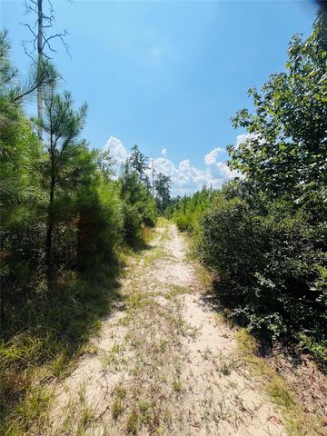 0 Nine Bridge Road, Corrigan, TX 75939