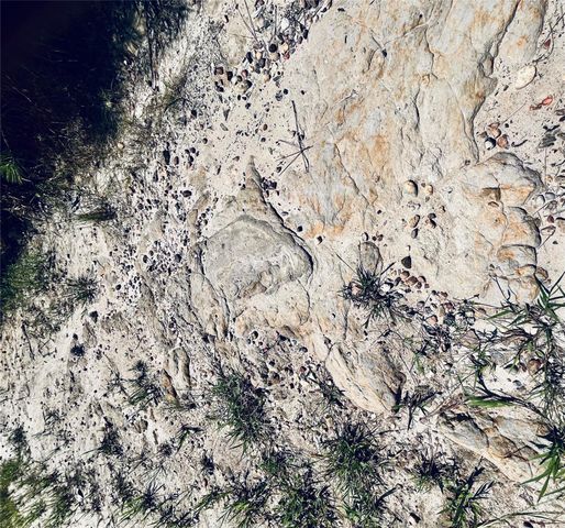 0 Nine Bridge Road, Corrigan, TX 75939