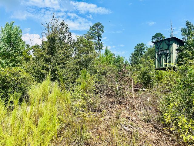 0 Nine Bridge Road, Corrigan, TX 75939