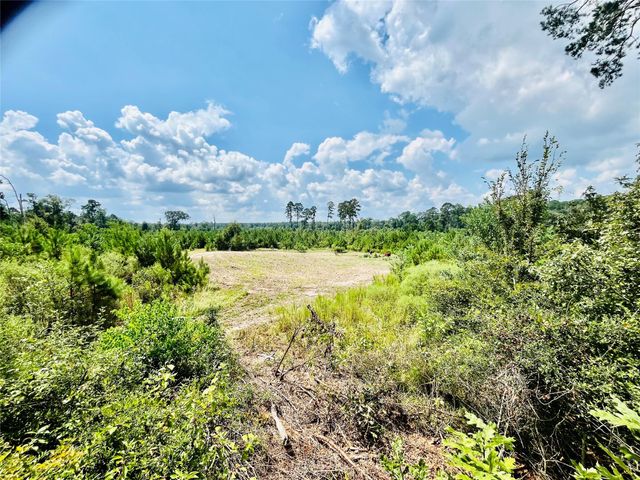 0 Nine Bridge Road, Corrigan, TX 75939