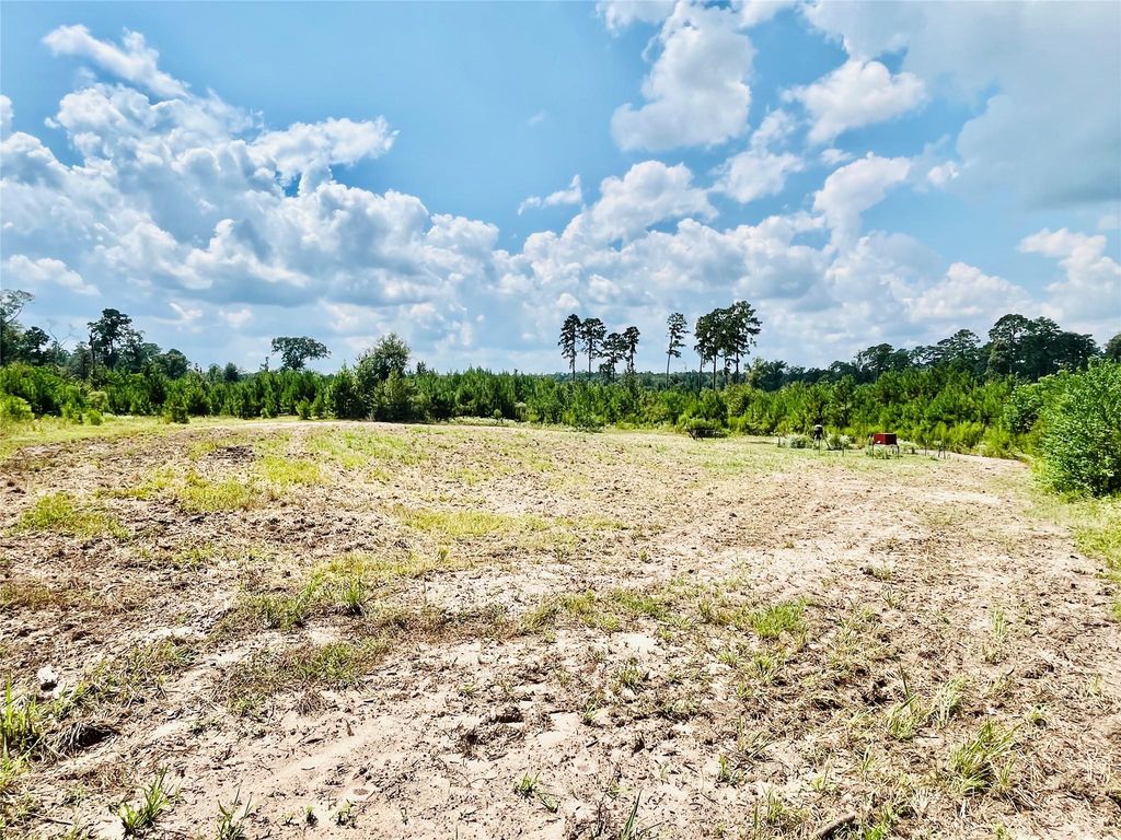 0 Nine Bridge Road, Corrigan, TX 75939