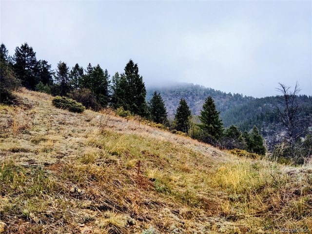 230 Casey Street, Central City, CO 80427
