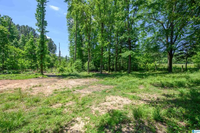 7065 RUTLEDGE DRIVE, Mccalla, AL 35111