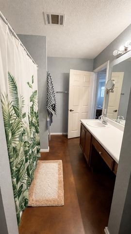 4510 Felicity LN, Austin, TX 78725