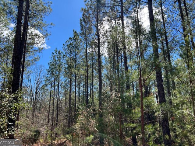 TRACT B2 Hulmes Chapel Road, Elberton, GA 30635