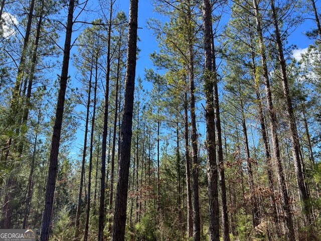 TRACT B2 Hulmes Chapel Road, Elberton, GA 30635