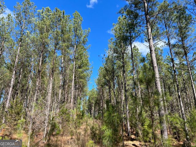 TRACT B2 Hulmes Chapel Road, Elberton, GA 30635