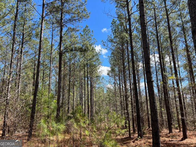 TRACT B2 Hulmes Chapel Road, Elberton, GA 30635