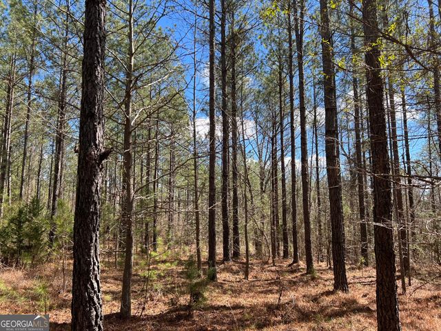 TRACT B2 Hulmes Chapel Road, Elberton, GA 30635